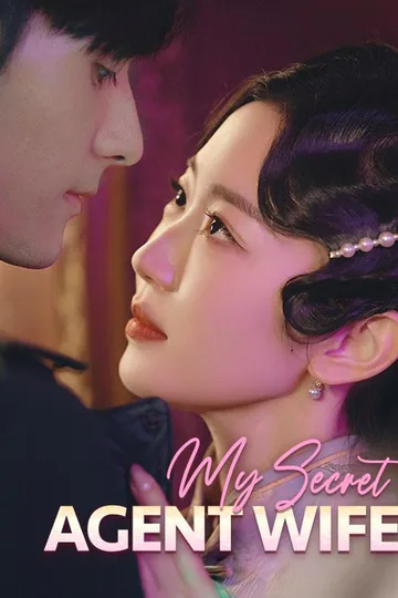 My Secret Agent Wife poster