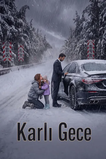 Karlı Gece afişi