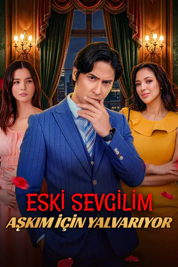 ESKİ SEVGİLİM AŞKIM İÇİN YALVARIYOR afişi