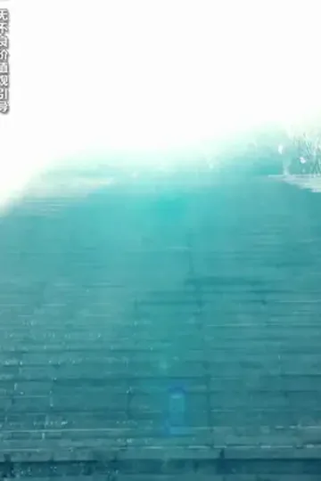 Genel müdür'ün ejderha damadı afişi