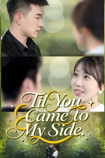 Til You Came to My Side poster