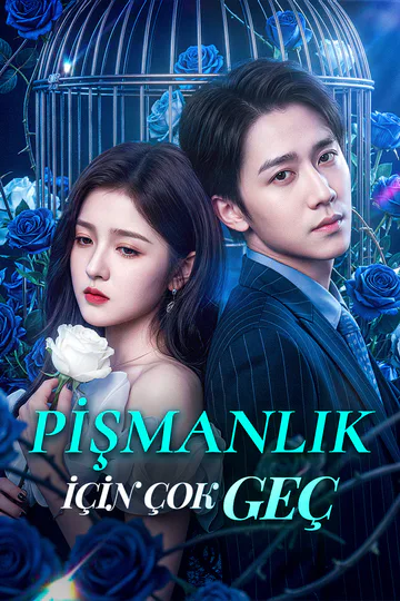 PİŞMANLIK İÇİN ÇOK GEÇ afişi