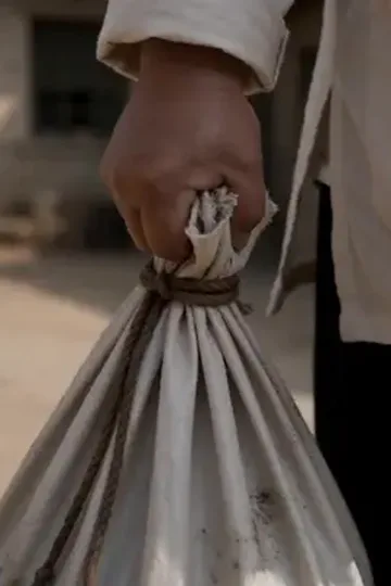 Çiftçinin sihirli altın sazanı afişi