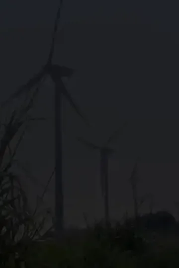 Kelebek dövmesi aşkı afişi