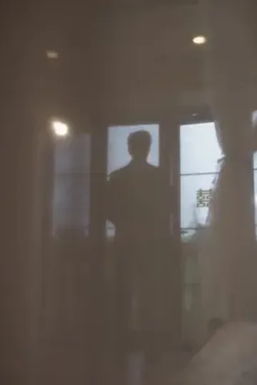 Bay Peker ile yanlış evlilik afişi