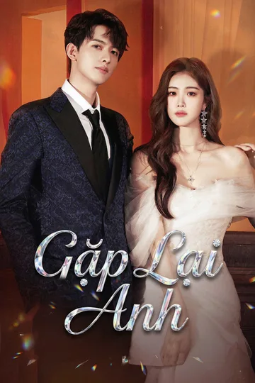 Poster phim Gặp Lại Anh