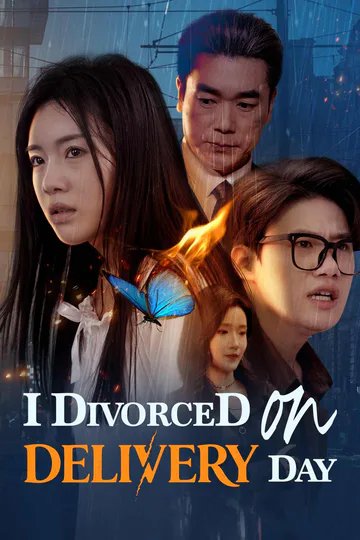 I Divorced on Delivery Day poster