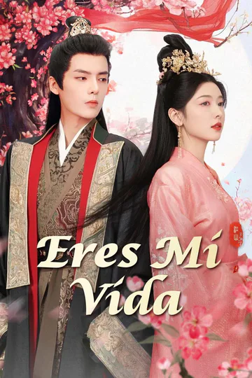 Póster de Eres mi Vida