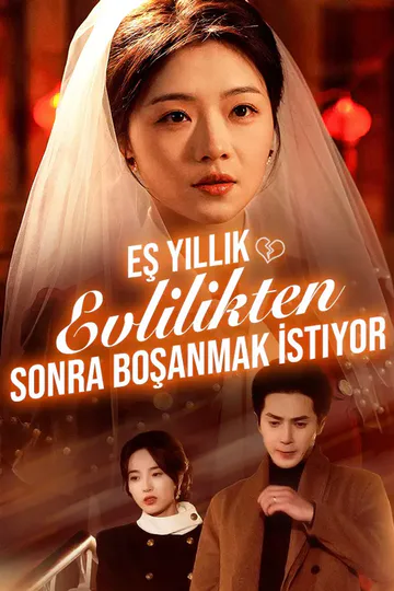 Beş Yıllık Evlilikten Sonra Boşanmak İstiyor afişi