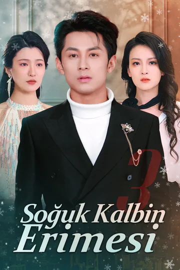 Soğuk Kalbin Erimesi afişi