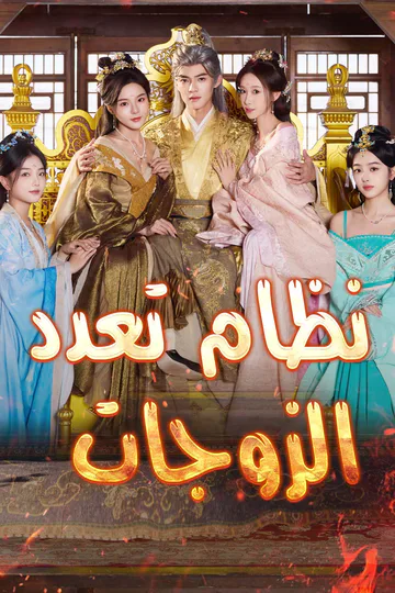 ملصق مسلسل «نظام تعدد الزوجات»