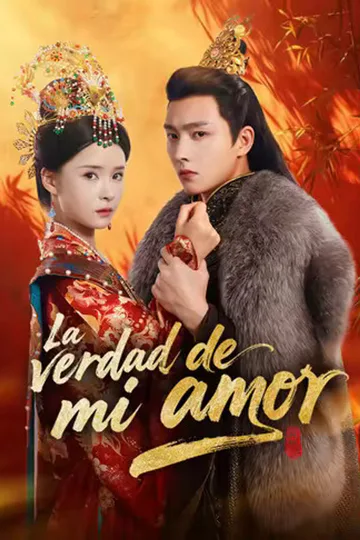 Póster de (Doblado) La verdad de mi amor