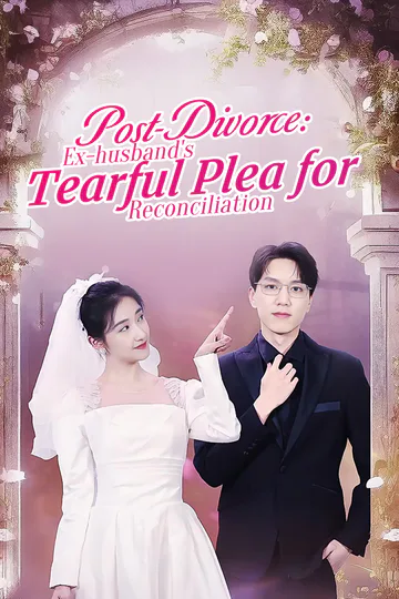 [Dubbed] Post-Divorce: Ex-husband's Tearful Plea for Reconciliation poster
