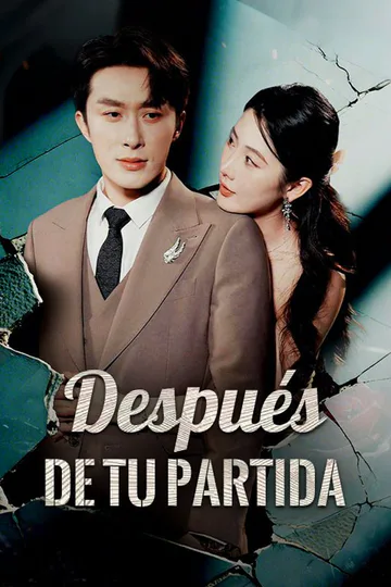 Póster de Después de tu partida