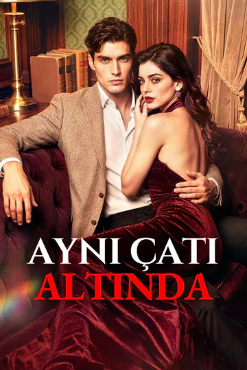 AYNI ÇATI ALTINDA afişi