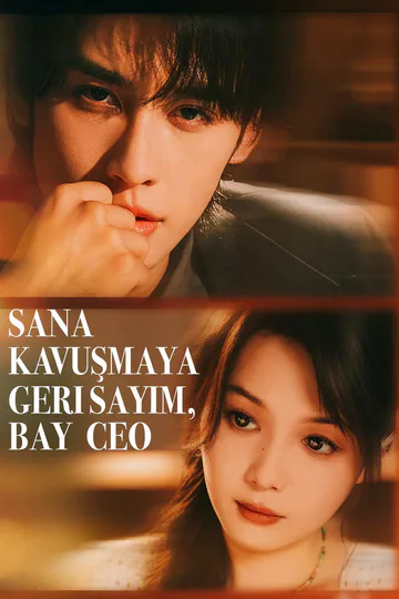 Sana Kavuşmaya Geri Sayım, Bay CEO afişi