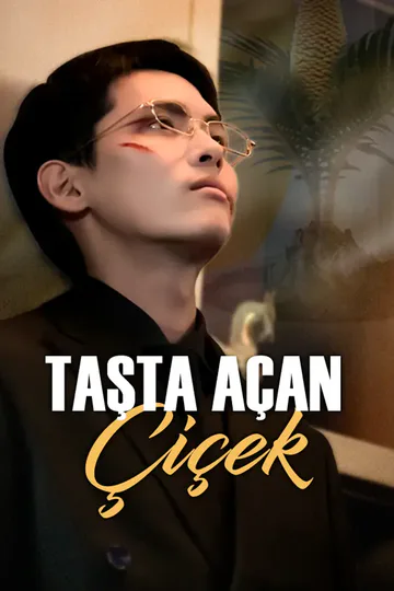 taşta açan çiçek afişi
