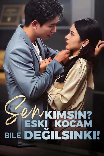 Sen Kimsin? Eski Kocam Bile Değilsinki! afişi