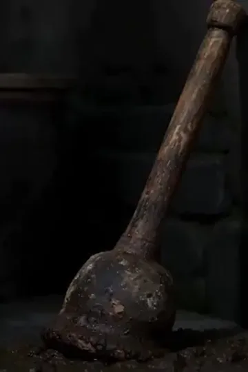 Köy Kızının Sebze İle Yükselişi afişi