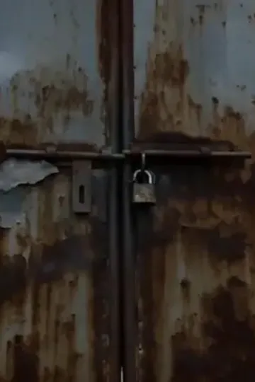 Dilsiz kızın kehanet resimleri afişi
