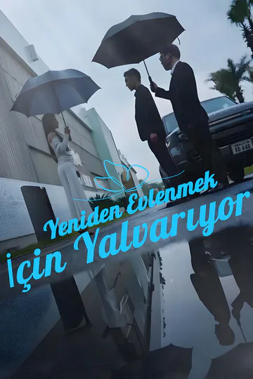 Yeniden Evlenmek İçin Yalvarıyor afişi