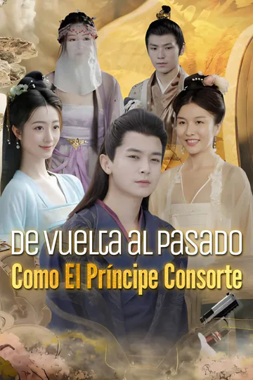 Póster de De vuelta al pasado como el príncipe consorte