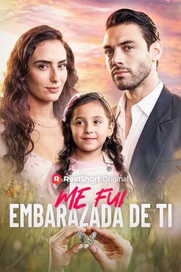 Póster de Me fui embarazada de ti