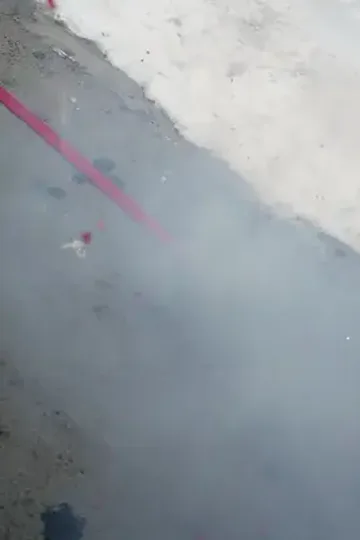 Yeni Yıl Buluşması: Aileye Şükran afişi