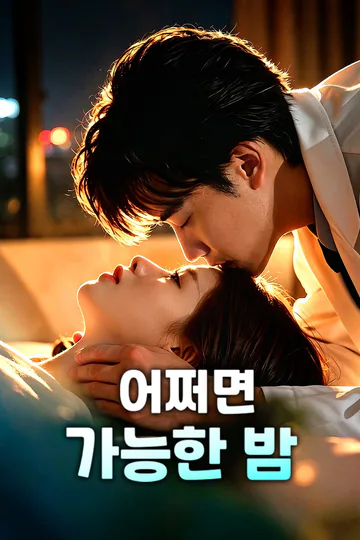 어쩌면 가능한 밤 포스터