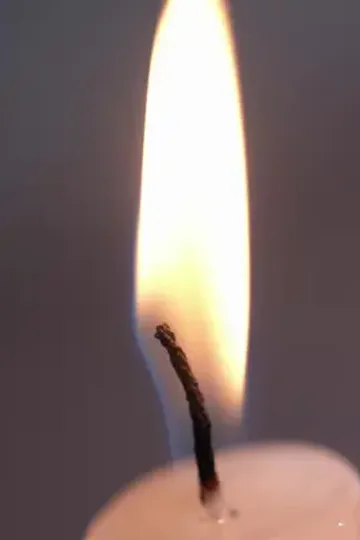 Hamile gelin ve patronun aşkı afişi
