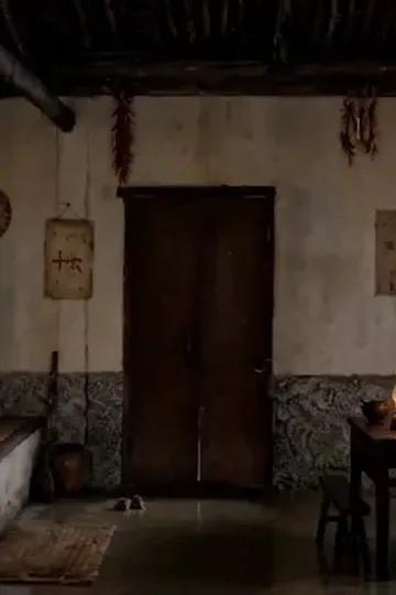 Yeniden Doğuş: Kızını Kurtar afişi