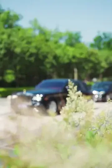 Mafya'nın ikinci şansı afişi