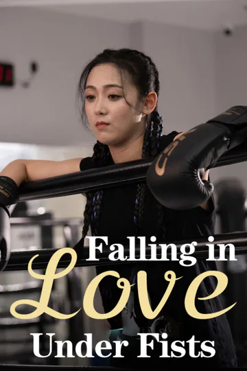 Falling in Love Under Fists poster