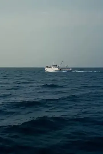 Balıkçı kralının dönüş yolu afişi