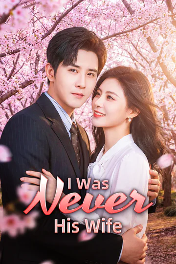 I Was Never His Wife poster