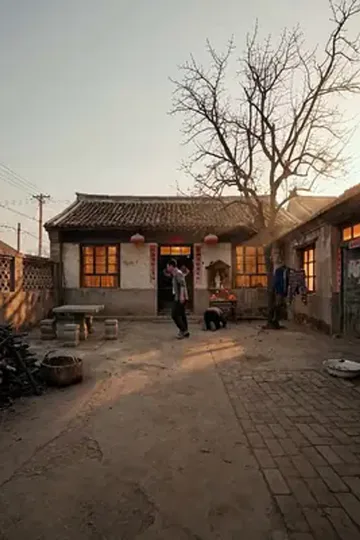 Talih getiren bebek afişi