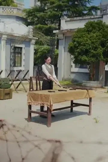 Aşk ve Nefretin Bedeli afişi