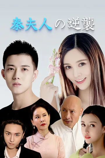 秦夫人の逆襲のポスター