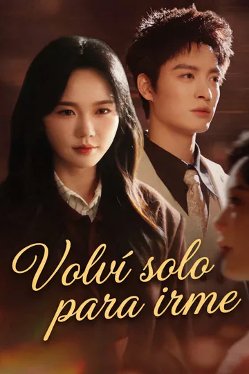 Póster de Volví solo para irme