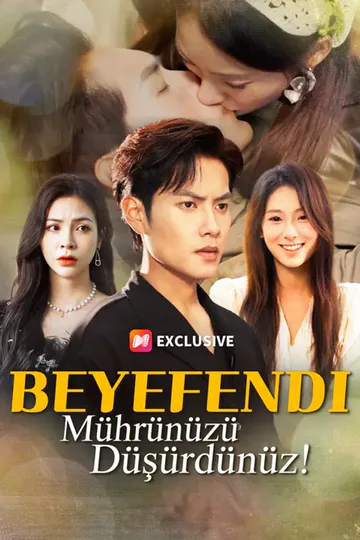 Beyefendi, Mührünüzü Düşürdünüz! afişi