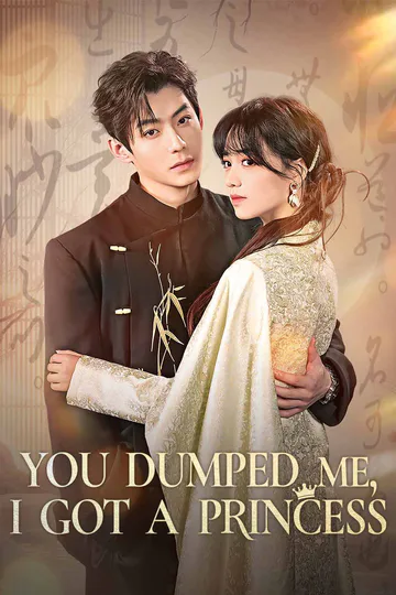 You Dumped Me, I Got a Princess poster