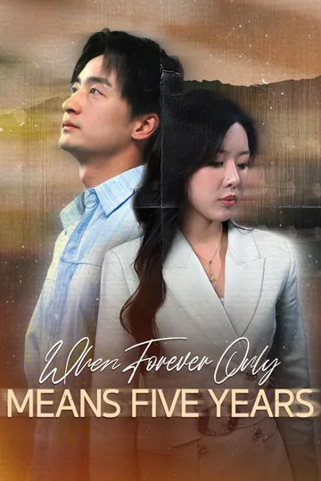 When Forever Only Means Five Years (DUBBED) poster