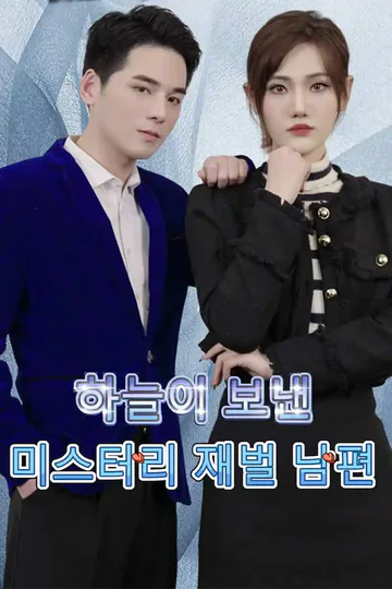 하늘이 보낸 미스터리 재벌 남편 포스터