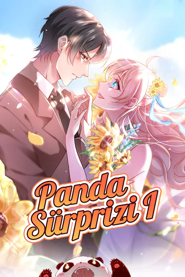 Panda Sürprizi I afişi