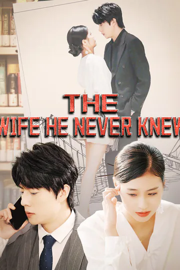 The Wife He Never Knew poster