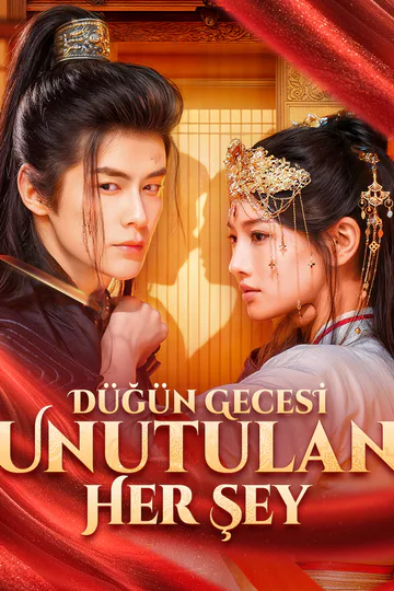 Düğün Gecesi Unutulan Her Şey afişi