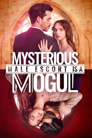 Póster de Mysterious Male Escort is a Mogul