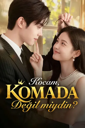 Kocam, Komada Değil miydin? afişi