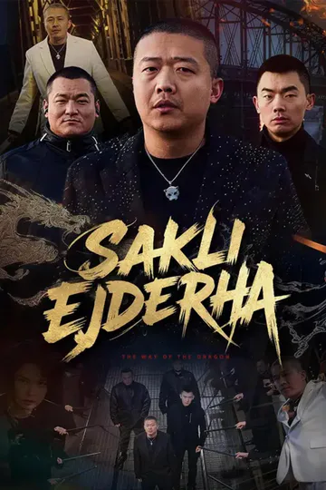 (Dublajlı) Saklı Ejderha afişi