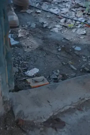 Gizli kralın büyük dönüşü afişi